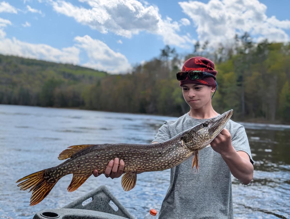 Pike