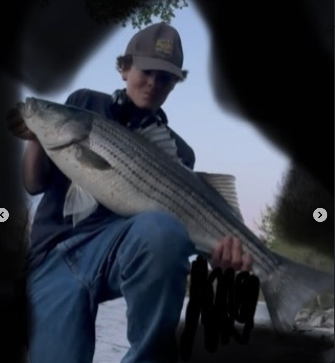 Striped Bass