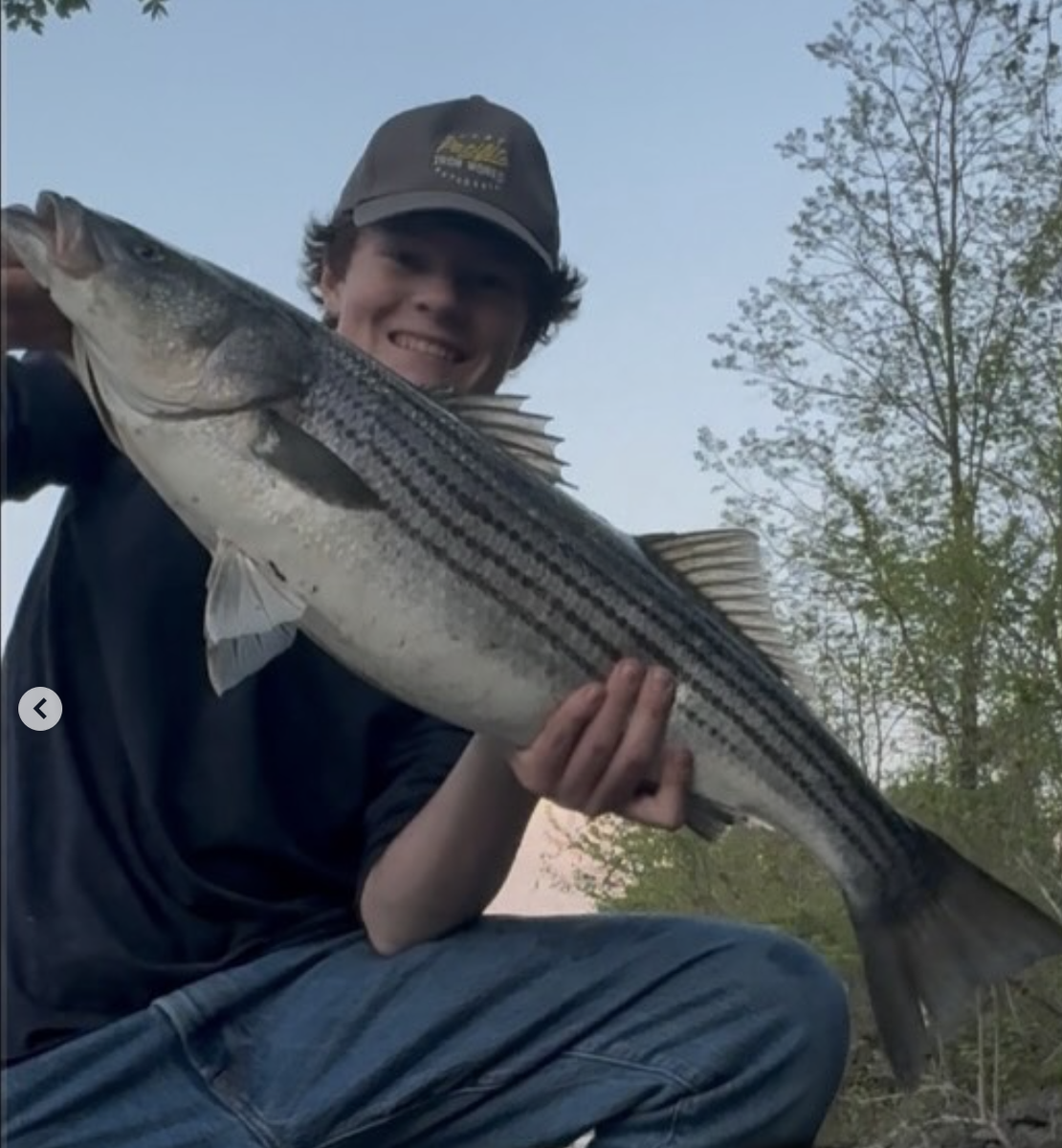 Striped Bass