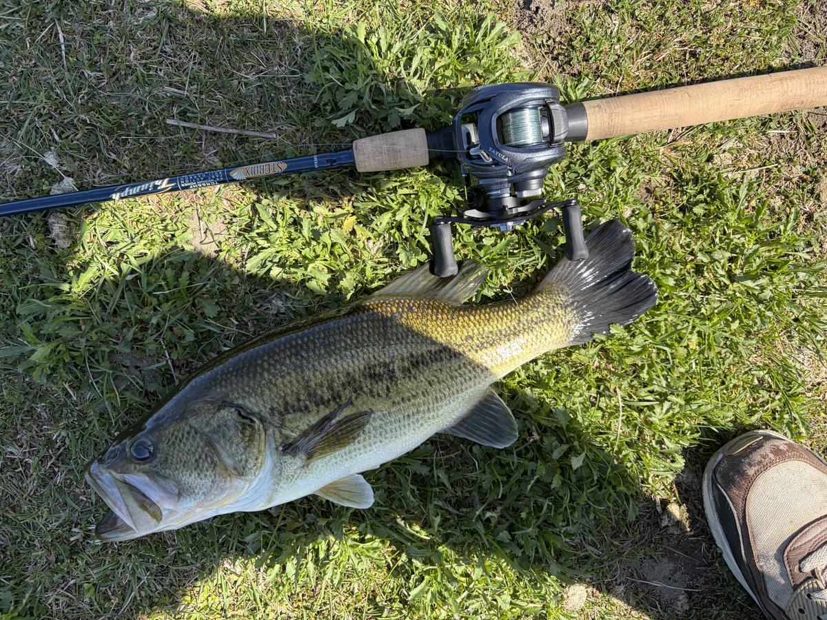 LMB