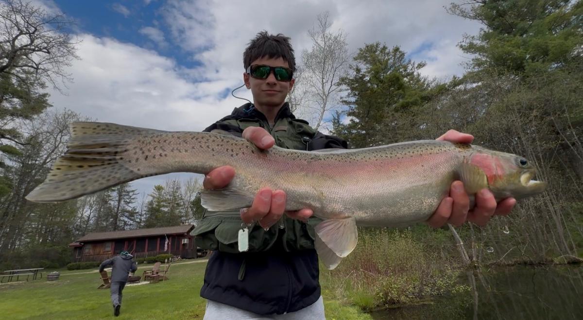 Rainbow Trout